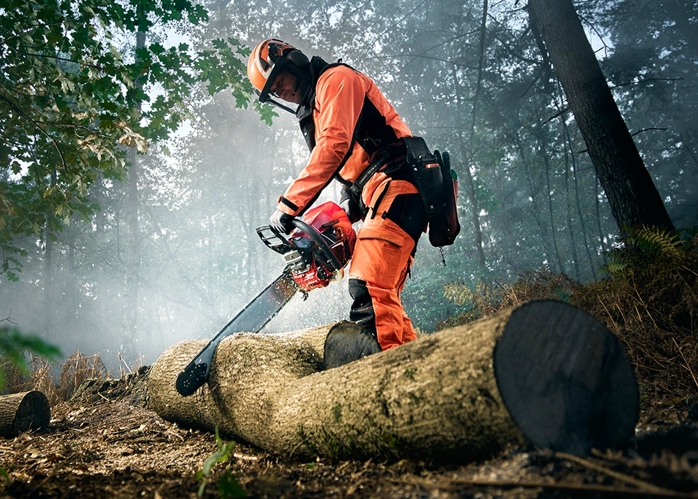 Man in het bos zaagt een boomstam met een kettingzaag